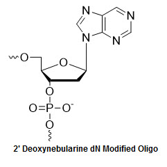 Bio-Synthesis Inc. Oligo Structure